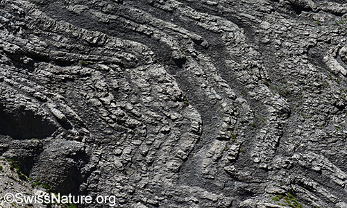 Ausschnitt einer verfalteten Schichtung in Felswand.
