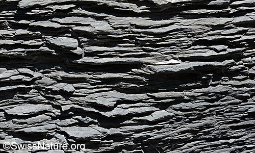 Kalkschiefer am Wegrand.