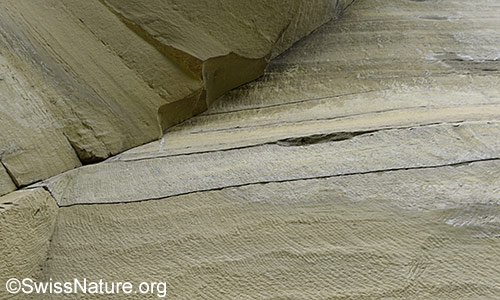 Sandsteinwand in Steinbruch.