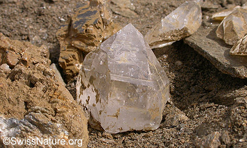 Bergkristall, frisch aus Kluft, Grösse ca. 4cm. Binntal. Wallis