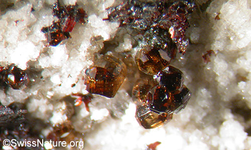 Anatas-Kügelchen. Grösse total: 2.5mm. Binntal, Wallis