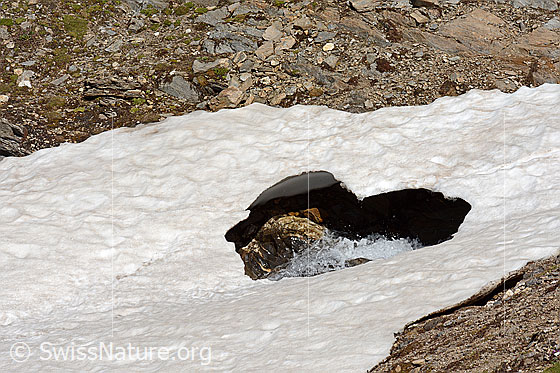 Foto: Herzförmiges Loch in Schneebrücke.