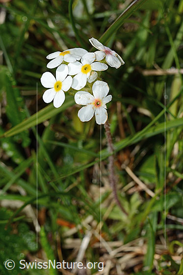 Photo: 