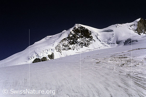 Foto: Bishorn und Turtmanngletscher. Aufnahme ab Dia.