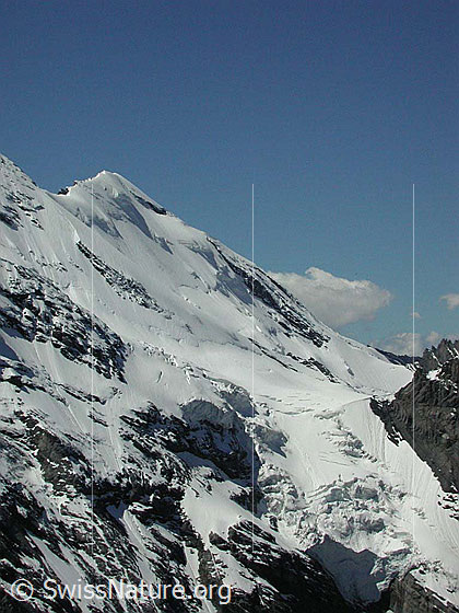 Foto: Blick vom Gipfel der Bütlasse in die Nordwand des Blüemlisalphorns
