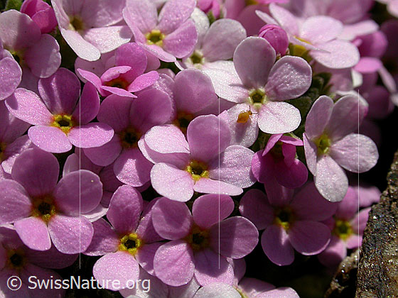 Photo: 