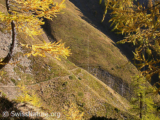 Foto: Sännewäg