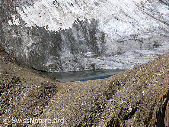 Foto: Kleiner Gletschersee (Randglazailer See) am Rand des Fäldbachgletschers.
