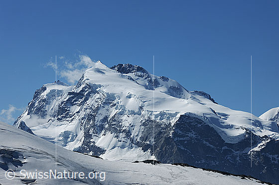 Foto: Signalkuppe, Nordend, Dufourspitze und Monte Rosagletscher.