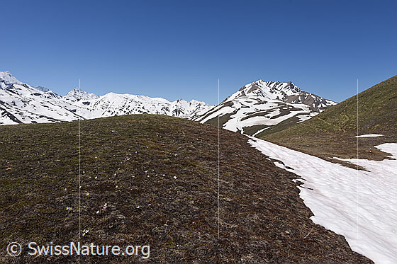 Foto: Auf dem Weg zum Breithorn im Lebensraum Nr 6. Kurz nach Breithorn Kreuz folgt eine links Kurve (90°). Dieses Foto wurde nach dieser Linkskurve aufgenommen.
Das östliche Feld von Grengiols wird bis in diesen Bereich reichen. Von diesem Punkt aus dürften bereits die ersten Solartische zu sehen sein.