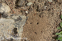 Foto: Löcher im Sand