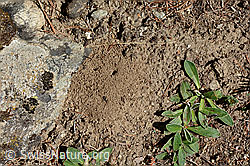 Foto: Löcher im Sand