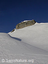 F009526: Gipfelfels und Schneehang des Türstenhäuptli