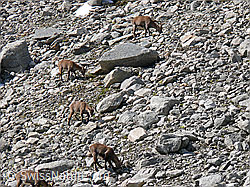 Foto: Rudel Steingeissen