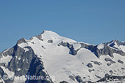 F069127: Gross Wannenhorn und Triftgletscher