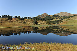F071549: Blauer, stiller Bergsee