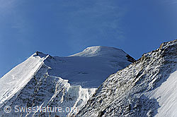 F072359: Bishorn und Turtmanngletscher