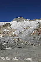 F077027: Gletschervorfeld Tiefengletscher und Galenstock