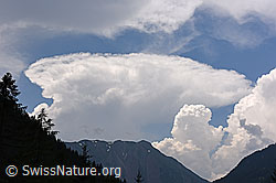 F159610: Ambosswolke (Cumulonimbus)