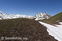 Auf dem Weg zum Breithorn im Lebensraum Nr 6 (21.05.2020, F166012) Auf dem Weg zum Breithorn im Lebensraum Nr 6 (21.05.2020, F166012)
